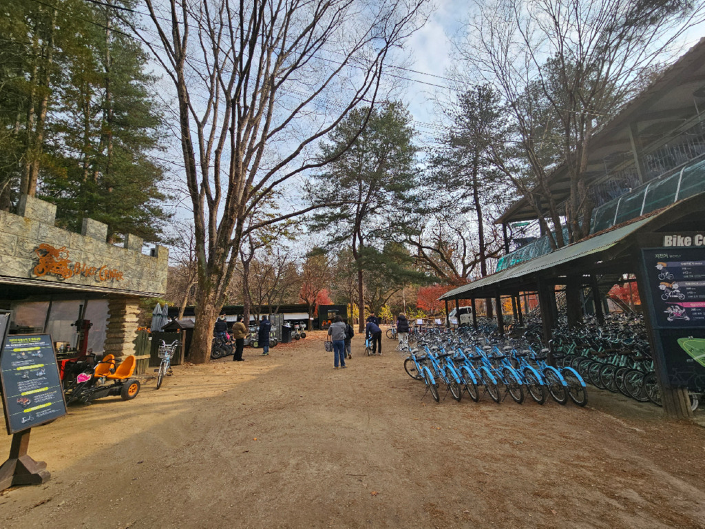 20251120_114646-1300.jpg